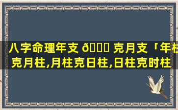 八字命理年支 🐒 克月支「年柱克月柱,月柱克日柱,日柱克时柱」